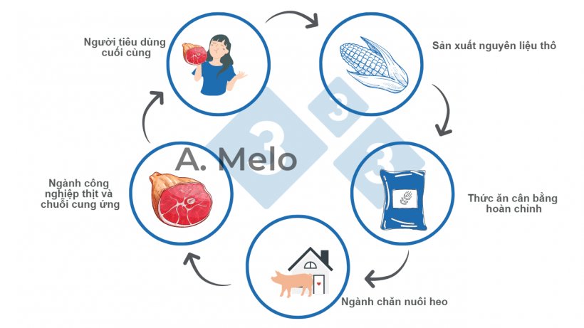 Biểu đồ 1. Chuỗi thức ăn từ sản xuất nguy&ecirc;n liệu th&ocirc; đến b&agrave;n ăn của người ti&ecirc;u d&ugrave;ng cuối c&ugrave;ng.
